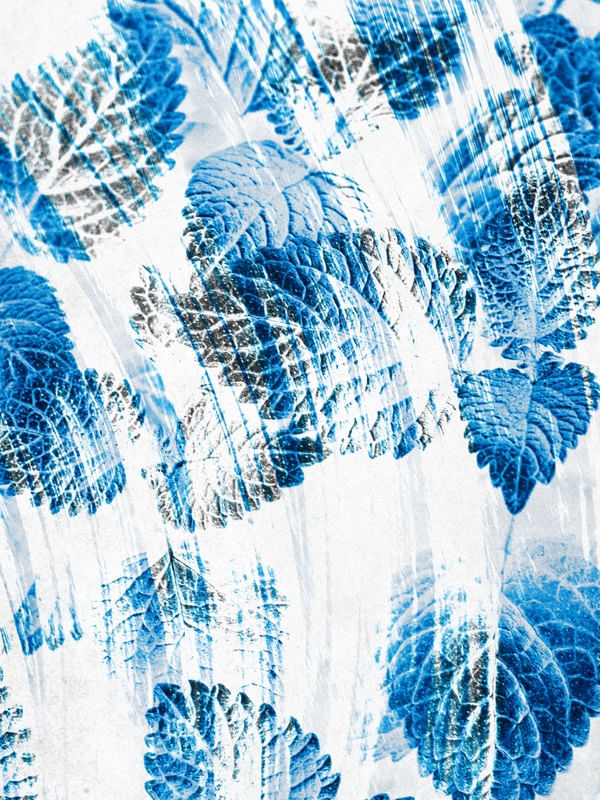 RAINING FOREST COLLECTION - NO5