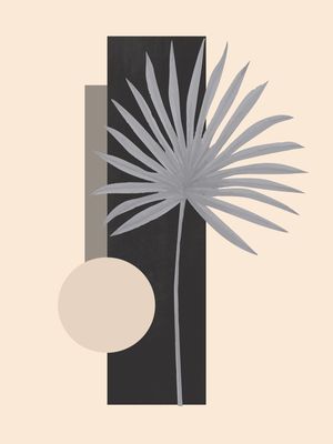TROPICAL GEOMETRY 19