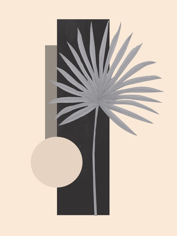 TROPICAL GEOMETRY 19