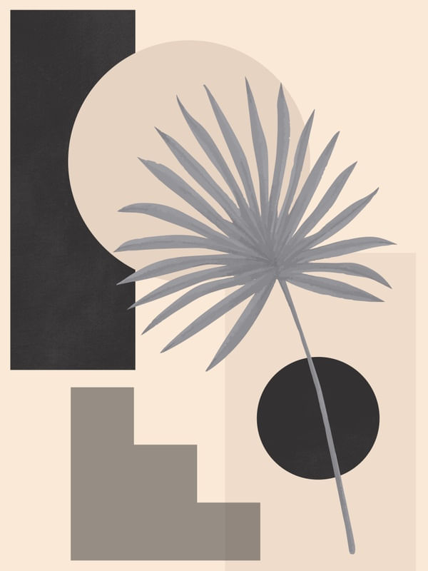 TROPICAL GEOMETRY 20