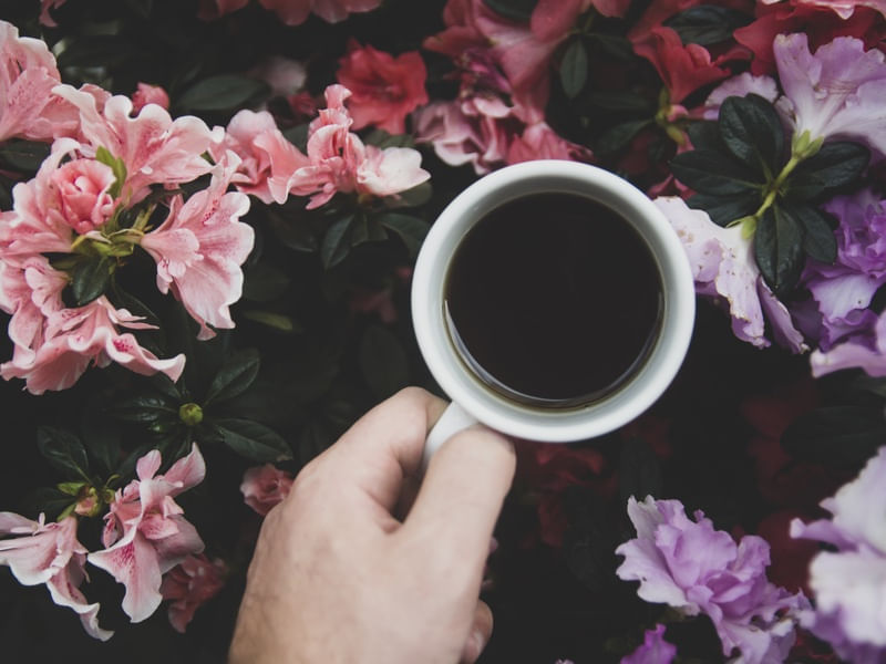 CAFÉ PELAS FLORES