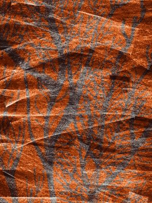 DESERT COLOURS COLLECTION #5