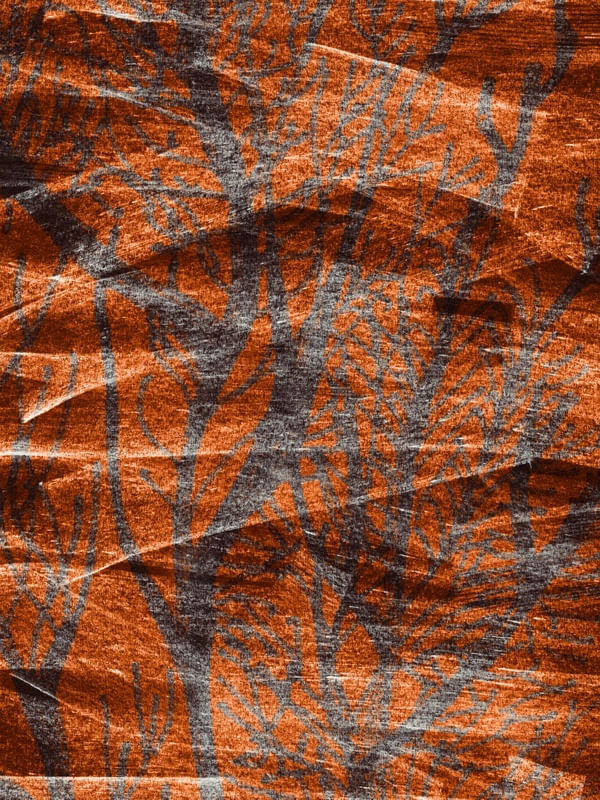 DESERT COLOURS COLLECTION #5