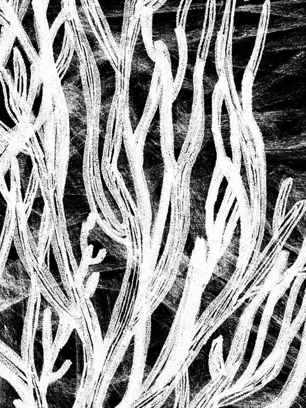 DESERT TEXTURES COLLECTION #1