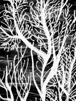 DESERT TEXTURES COLLECTION #2