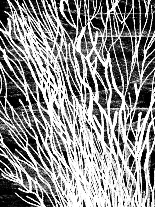 DESERT TEXTURES COLLECTION #3