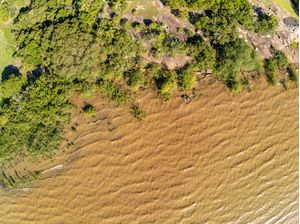 AÉREA COM VEGETAÇÃO E ONDAS NO LAGO GUAÍBA