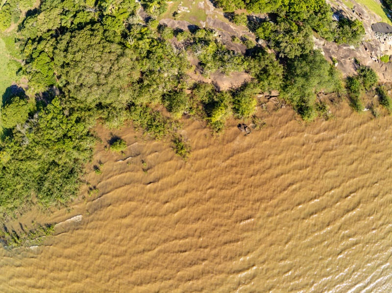 AÉREA COM VEGETAÇÃO E ONDAS NO LAGO GUAÍBA
