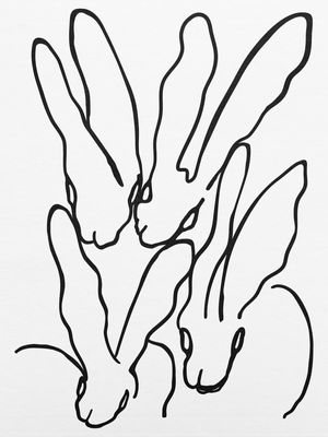 LINHAS - COELHOS