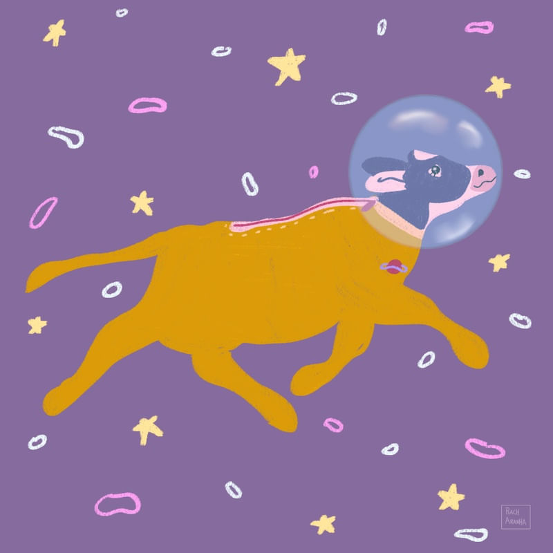 VACA ASTRONAUTA