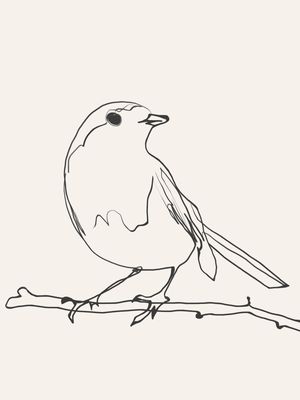 BIRD SKETCH ART