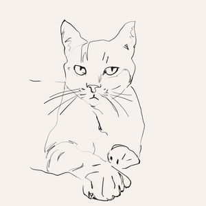 CAT SKETCH ART