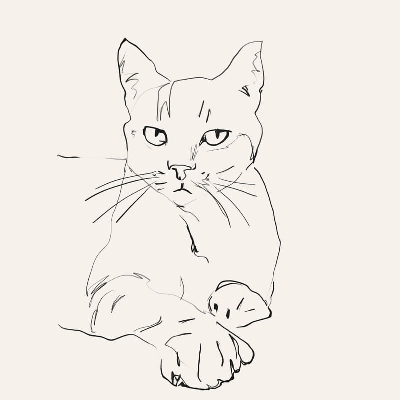 CAT SKETCH ART