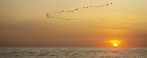 SUNRISE FILGHT