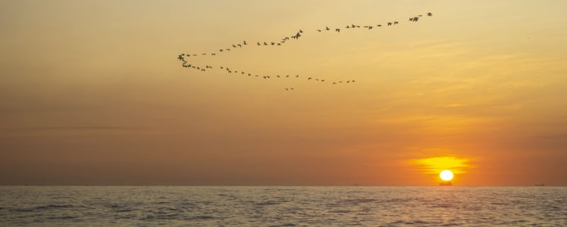 SUNRISE FILGHT