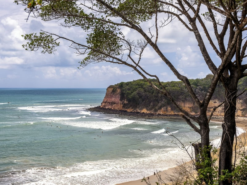 MADEIRO BEACH EM PIPA