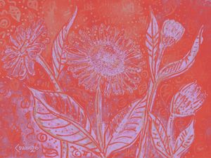 GERBERA_ROSADO
