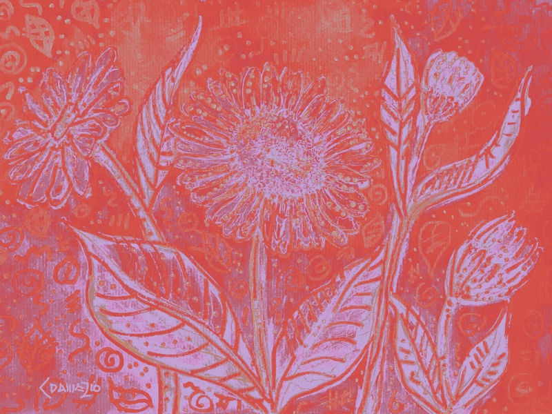 GERBERA_ROSADO