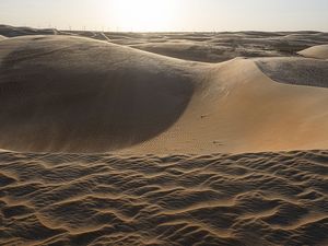 DUNAS EM MOVIMENTO