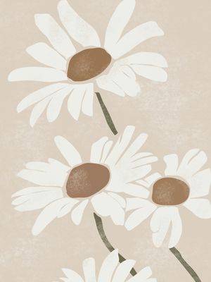 DAISY FLOWERS