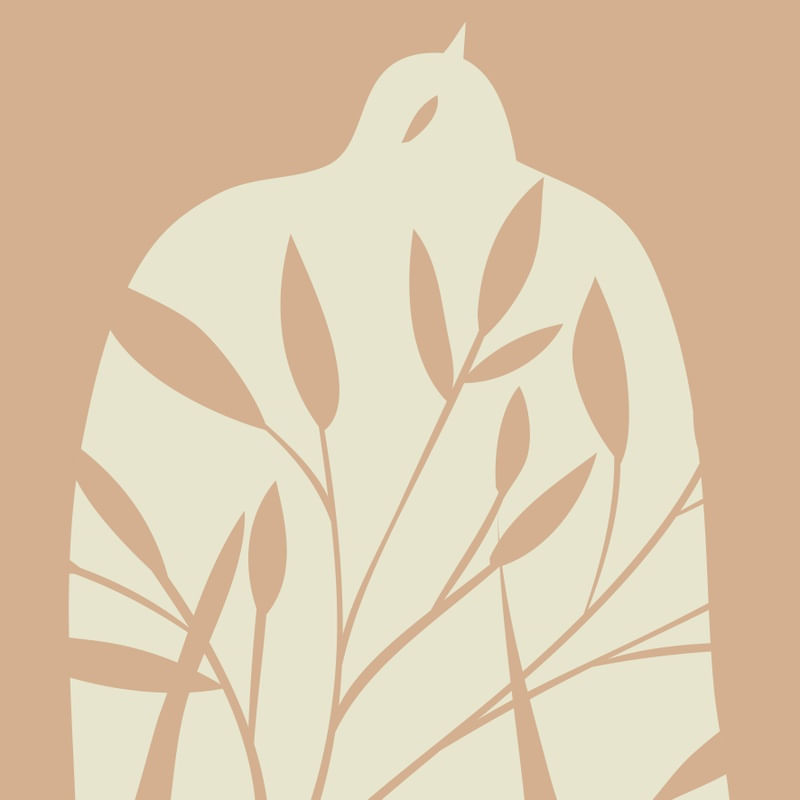 BIRD 2