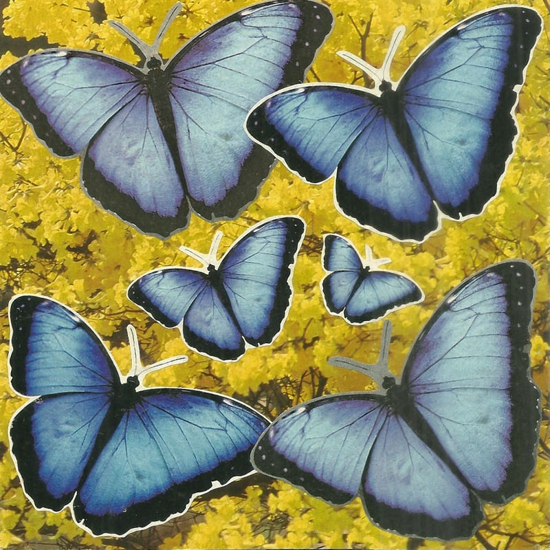COLAGEM - MORPHOS BY ESTHER Z.