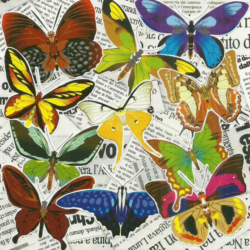 COLAGEM - BUTTERFLIES NEWS