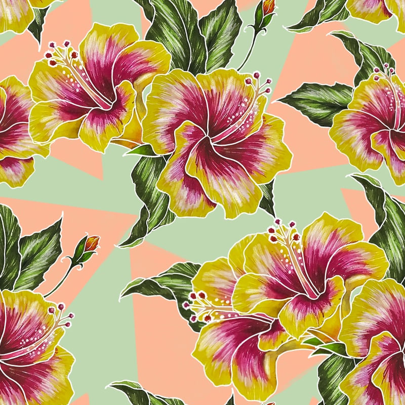 JARDIM DE HIBISCOS