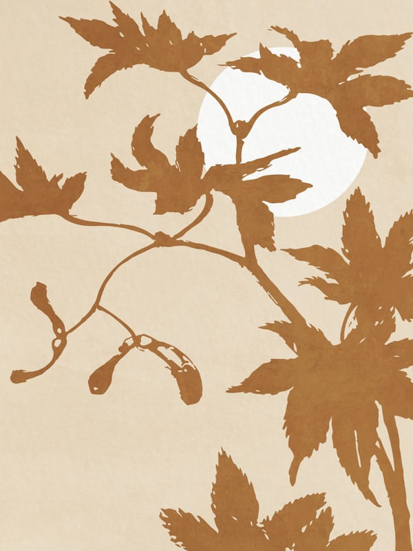MINIMAL PLANT 08