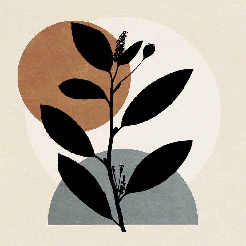 MINIMAL PLANT 09