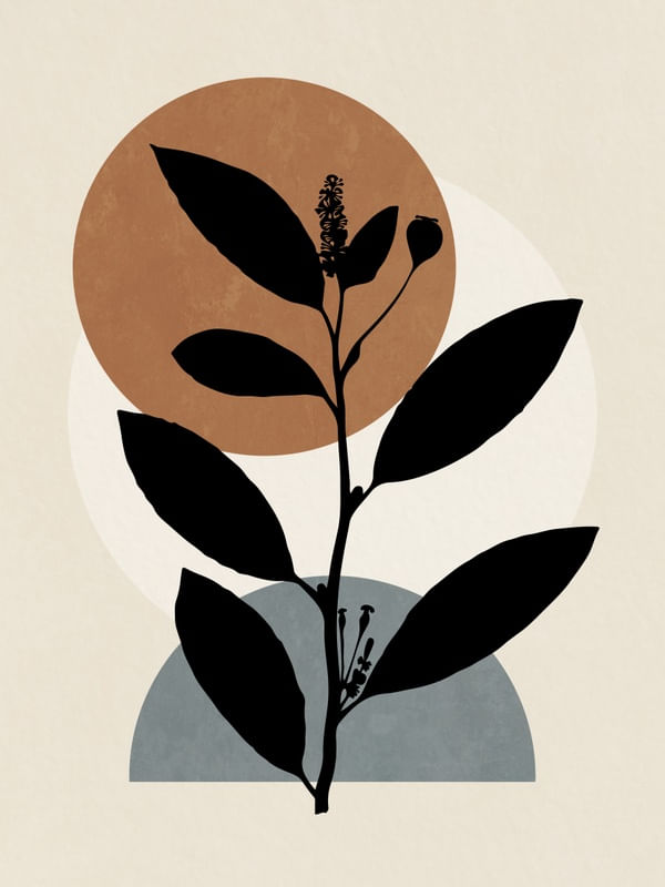 MINIMAL PLANT 12
