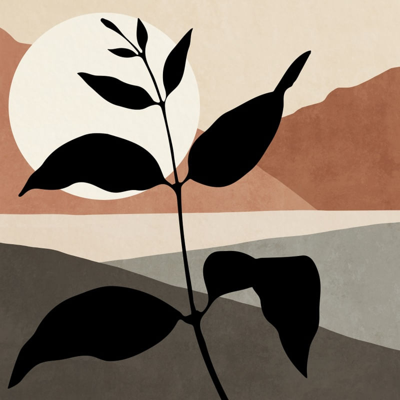 MINIMAL PLANT 13
