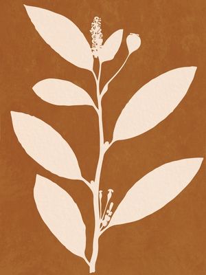 MINIMAL PLANT 16