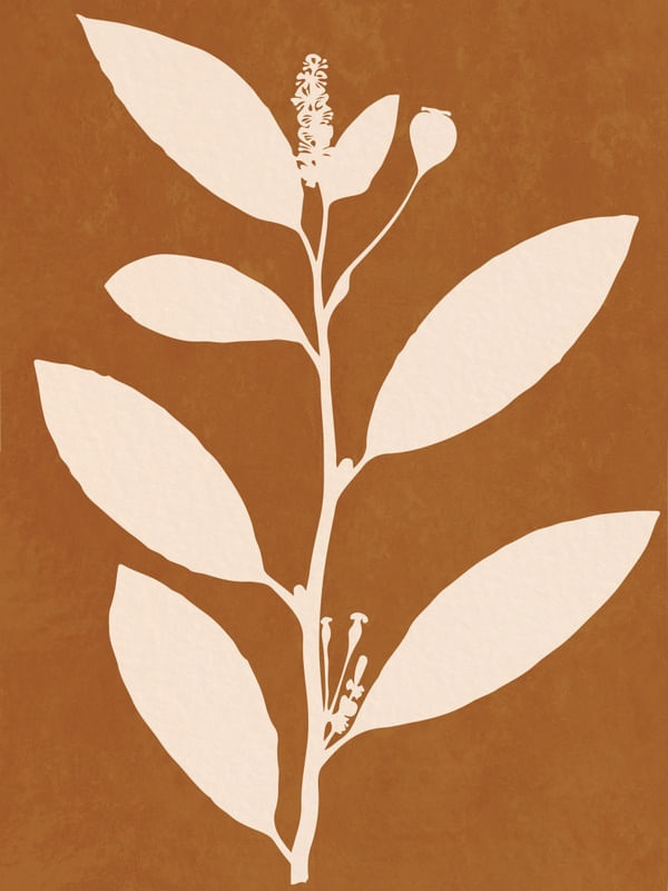 MINIMAL PLANT 16