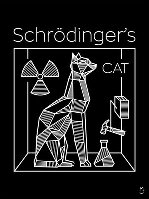 EQUAÇÃO DE SCHRÖDINGER