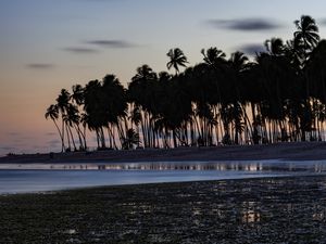 FINAL DE TARDE NA PONTA DA PRAIA DOS CARNEIROS - COQUEIROS - MAR