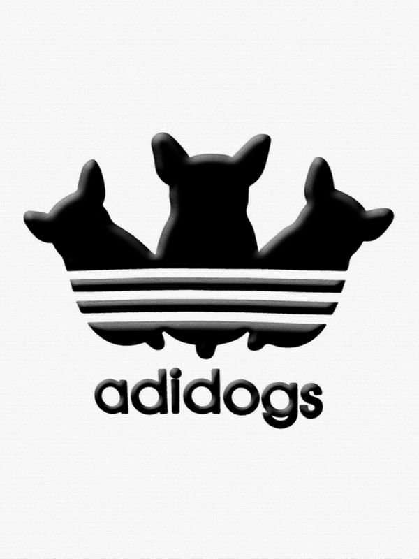 ADIDOGS