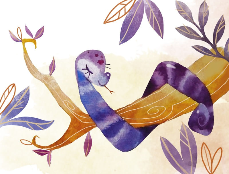 LADY SNAKE