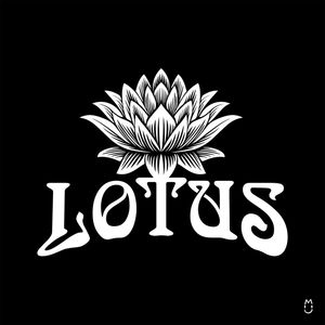 LOTUS ORIENTAL