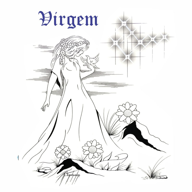 6 - VIRGEM