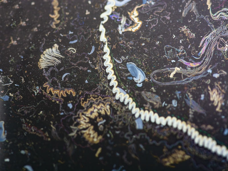 SERPENTINTAS IV