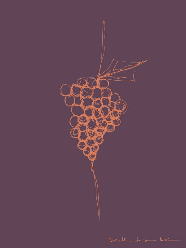 A UVA