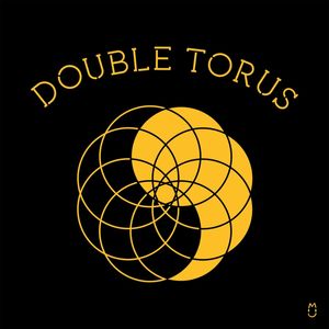 DOUBLE TORUS