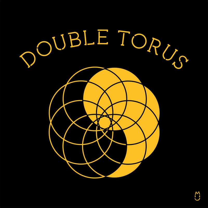 DOUBLE TORUS