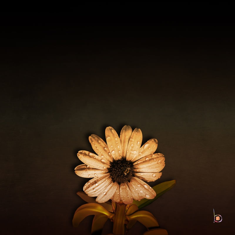 LIFE AND ITS PROCESSES