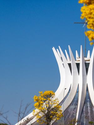 DÍPTICO 01 : A CATEDRAL E O IPÊ II, BRASÍLIA