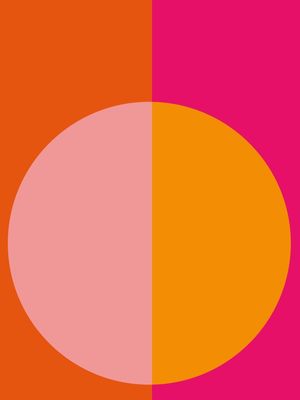 PINK&ORANGE I