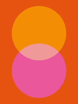 PINK&ORANGE III