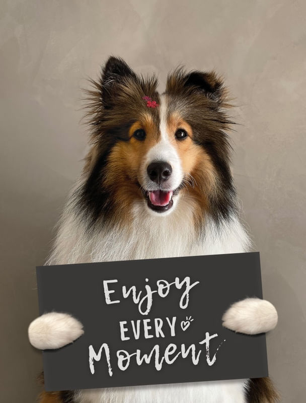 ENJOY EVERY MOMENT