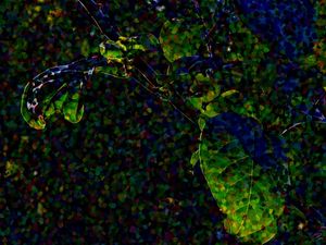 DOTTED LEAVES